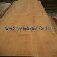 Red hardwood dillenia veneer