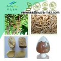 Eurycoma (Longjack)Powder Extract 100:1（vanessa@nutra-max.com）