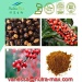 Guarana P. E. 22%/12% Caffeine（vanessa@nutra-max.com）