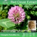 Red Clover Extract 20% Isoflavones （vanessa@nutra-max.com）