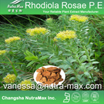 Rhodiola Rosae P. E.