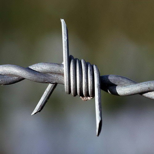 barbed wire