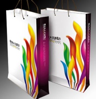 Printed paper handbag for promotion