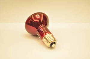 Infrared Heating Lamp