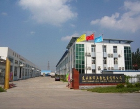 Lianyungang No. 5 Plastic Packing Co., Ltd