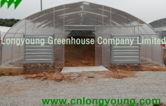 Economical Tunnel Greenhouse