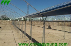 Tunnel-Connected Greenhouse