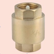 C207FF Brass Vertical Check Valve