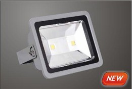 100 W LED Flood light