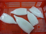 Frozen Squid Tubes IQF (Latin name:Todaordes pacificus)