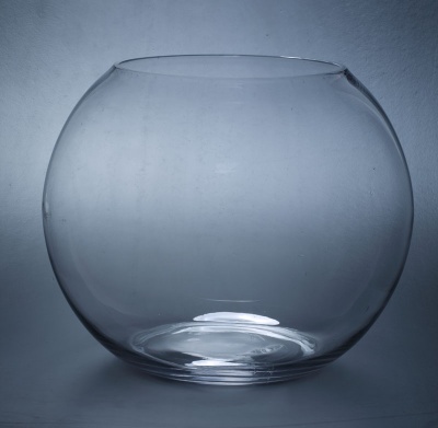 glass fish bowl