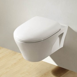 Ceramic Toilet