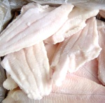 channel catfish fillet