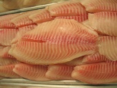 Tilapia Fillet