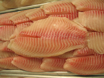 Tilapia Fillet