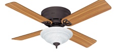 ceiling fan