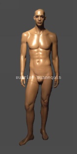 male mannequin