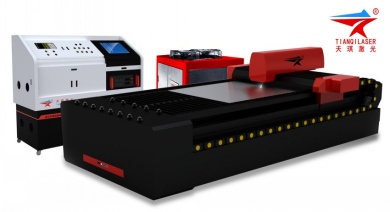 Metal Laser Cutter(TQL-LCY620-2513)