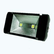 LED Flood Light