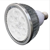 LED Par light