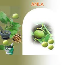 Amla