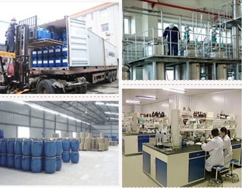 HUZHOU LONGTONG CHEMICAL CO.,LTD