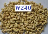 Cashew Nuts WW240