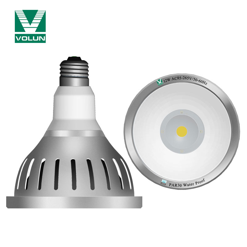 SAA UL Approval Indoor 12W Waterproof COB LED PAR30 Spotlight