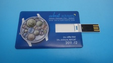 Credit Card USB Disks