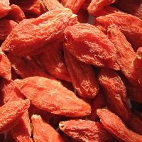 goji, goji berry,medlar,chinese wolfberry