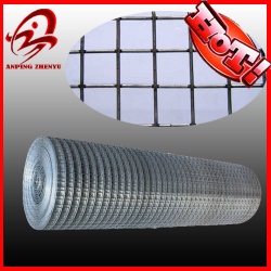 Hot dipped Galvanized After Welded Wire Mesh(factory)