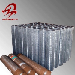 Hot dipped galvanized welded wire mesh