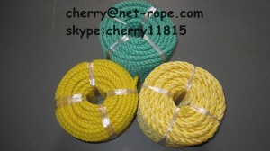 PE rope