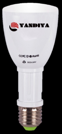 LED Bulb