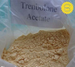 Testosterone Acetate