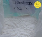 Testosterone Isocaproate