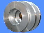 Stainless steel slip mesh