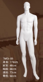 Male Mannequin