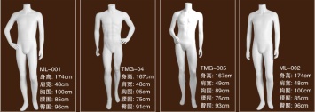 Male Torso Form