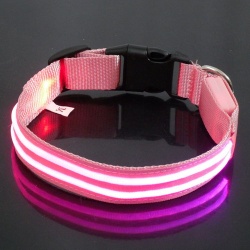 light up dog collar