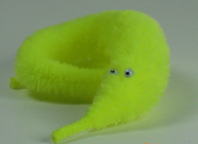 magic worm