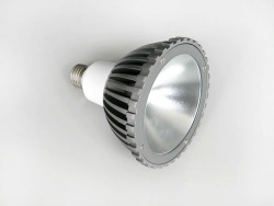 LED Spotlight PAR 38