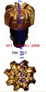 12-1/4”GD1307PDC bits