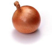 fresh onion