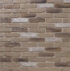 Thin Bricks