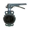 Cast Iron Butterfly Valves