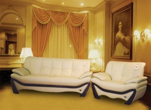 Leather Sofa