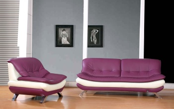 Leisure Sofa