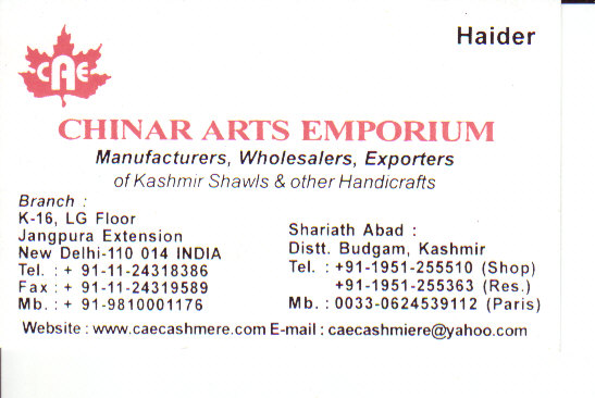 Chinar Arts Emporium