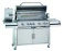 BBQ gas grills with Infrad back burner